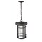 Z-Lite Jordan 1 Light Outdoor Chain Mount Ceiling Fixture, Oil Rubbed Bronze And Clear Seedy 570CHB-ORB - alternate 4